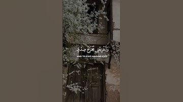قرآن كريم #فجر #لايك #حالات_واتس #ترند #تيك_توك