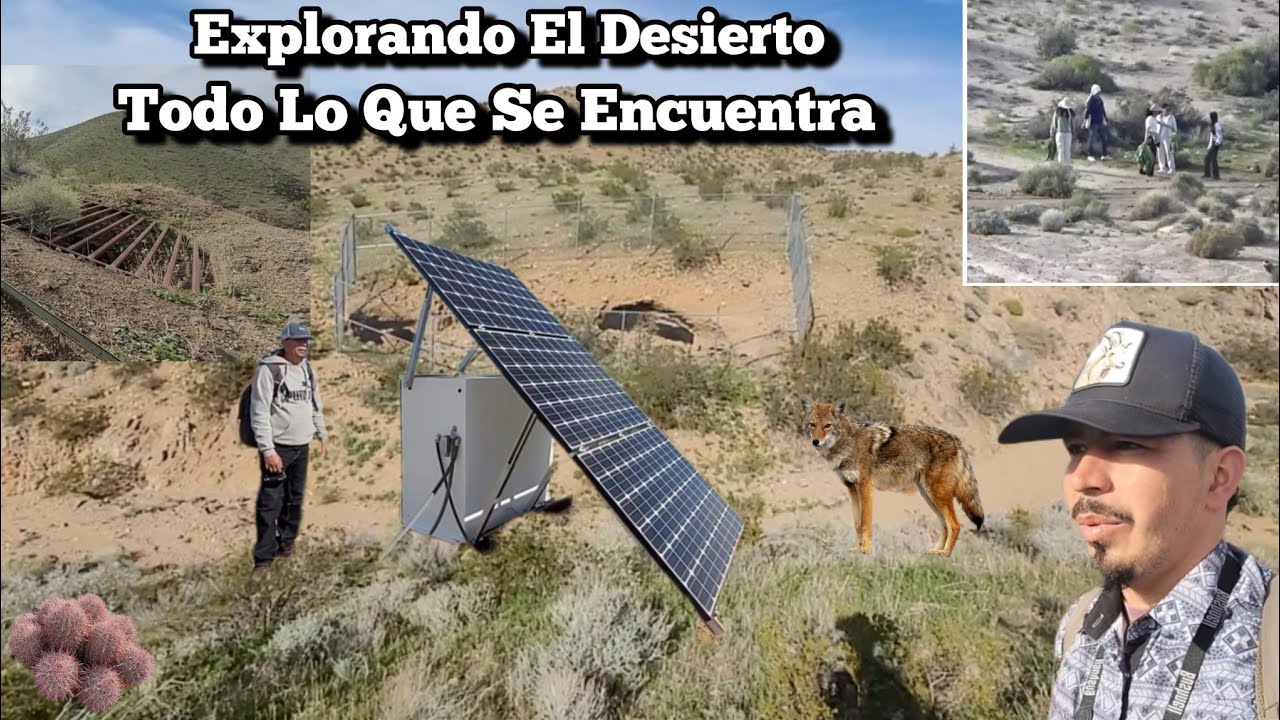 Explorando El Desierto De California Se Encuentran Muchas Cosas 