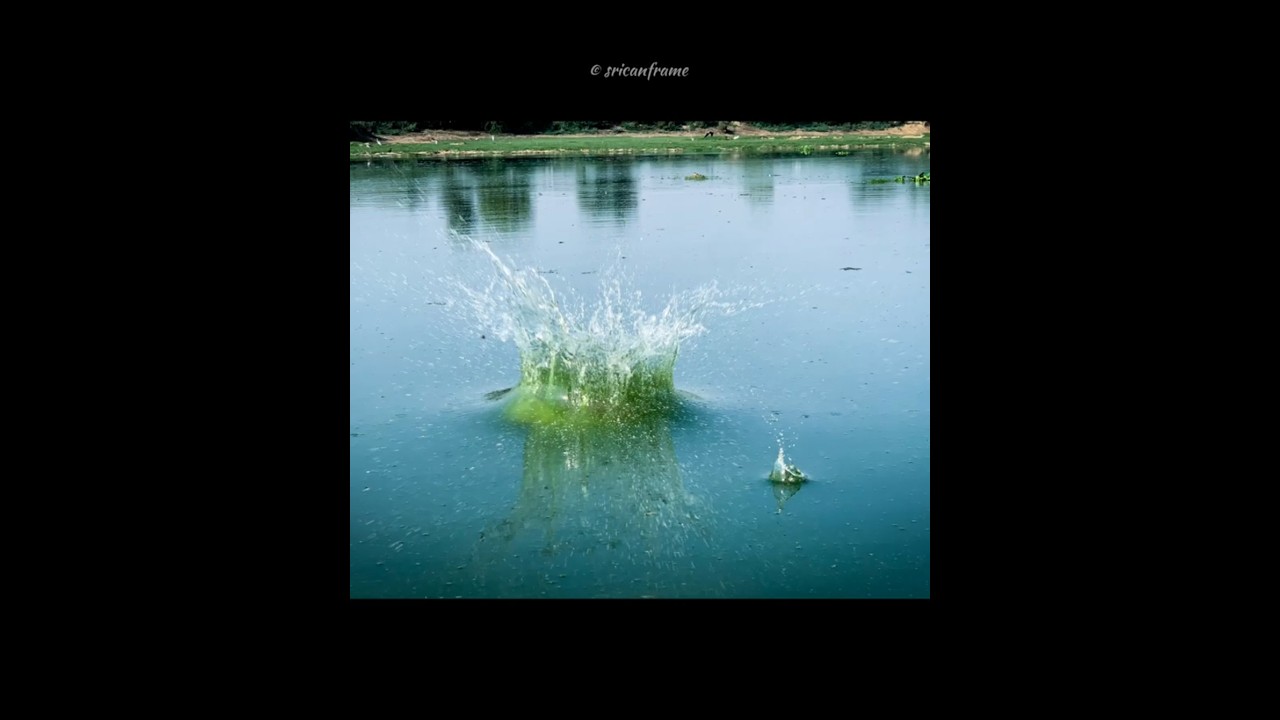 Water waves 🌊: Vibration 