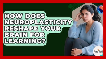 How Does Neuroplasticity Reshape Your Brain For Learning? - Brain Health Support Network