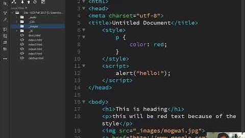 HTML Basics in Dreamweaver