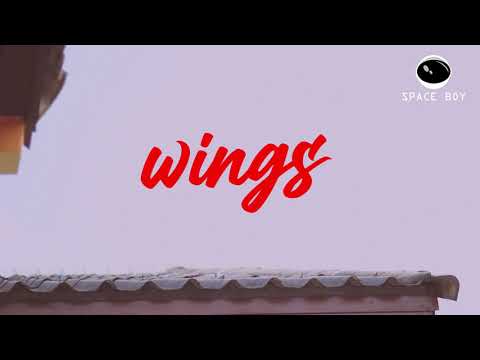 Wings - So!YoON! X Phum Viphurit / Cover . Space boy