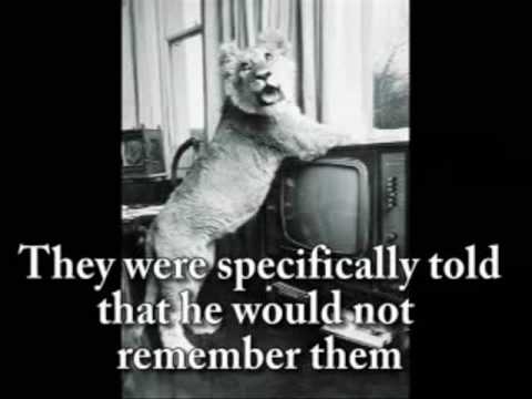 Christian the Lion "The View"