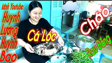 Huynh Lương Huynh Bao//Cháo Cá Lóc Rau đắng Ngày Mưa.