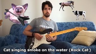 Animal sounds on guitar