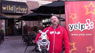 YelpChecking