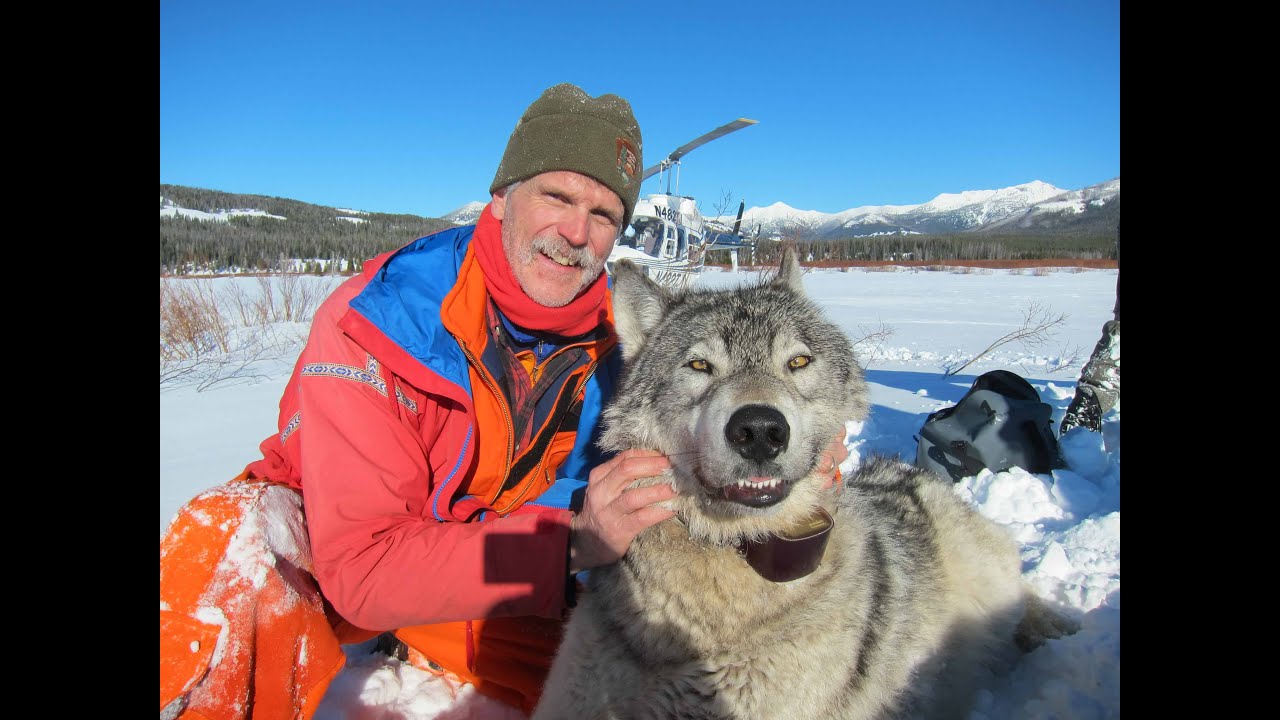 Douglas W. Smith - YouTube