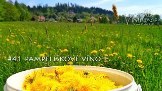 vinařům.cz - #41 pampeliškové víno - 1.část