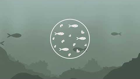 The journey of plastic