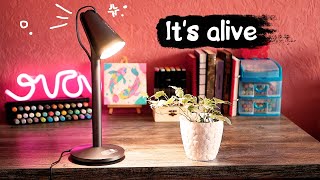 Xiaomi Pipi Smart Lamp - My New Electronic Pet With Emotions | Aesthetic Review and Unboxing