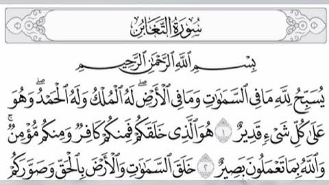 سورة التغابن بصوت🔊خالد الجليل