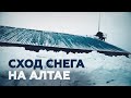 Видео с места гибели четырёх человек на Алтае из-за схода снега с крыши зернохранилища