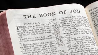Job 5 Daily Bible Reading with Paul Nison