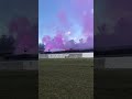 Gender reveal pt 2 Powranna park Tassie