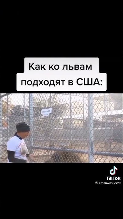 Веди себя прилично как лев 🇷🇺 - YouTube