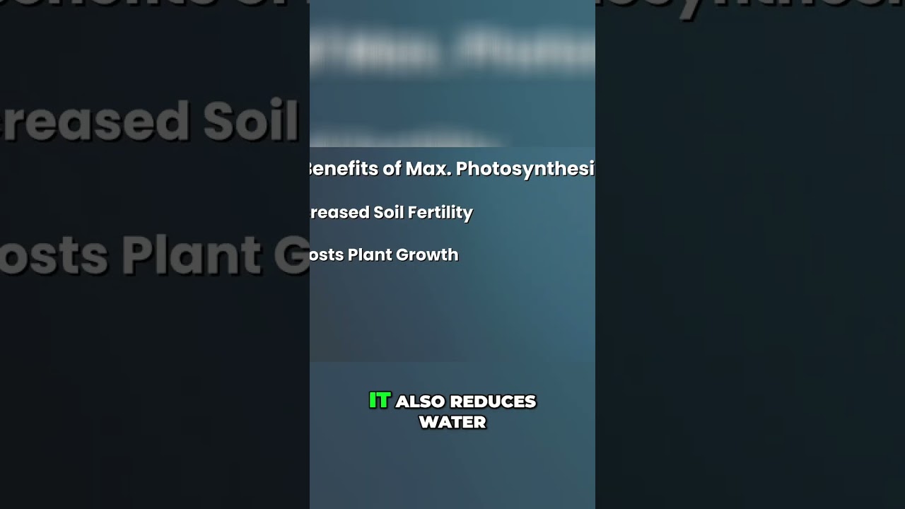 This Will Increase Soil Fertility in Your Garden