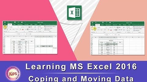 Learning MS Excel 2016: Coping and Moving Data