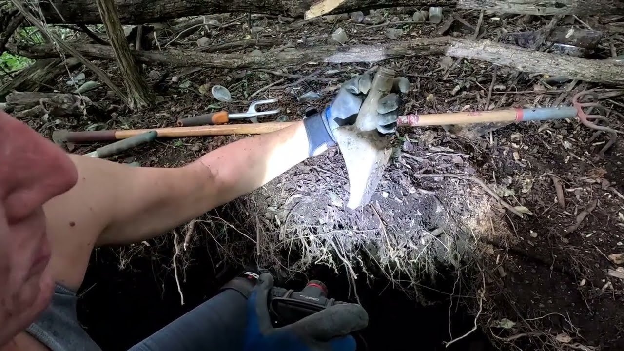Bottle Dump Digging + Fun Creek Find's!