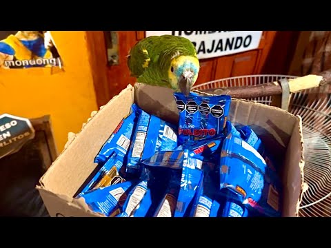 Carlitos works as a street vendor
