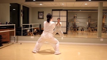 Chen Style New Frame First Routine(1/3) by Jiling Hu, OMD, L. Ac. www.mind-bodyacupuncture.com