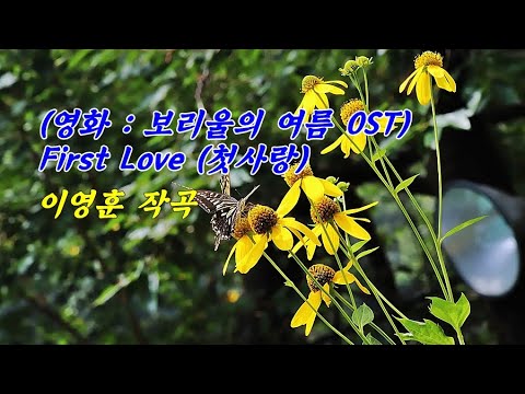 삼잎국화와 호랑나비 &amp; First Love (첫사랑) (영화 : 보리울의 여름 OST ) / <strong>이영훈</strong> 작곡 &amp; photo by 모모수계