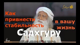 Как привнести стабильность в вашу жизнь?  Садхгуру