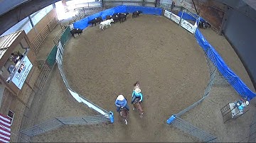Big Sky Ranch Sorting Saddle Series #4 - #9 HC SORT - Round #1 - Ride #9