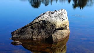 Moser Island Rocks Lesson