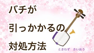 バチ皮の貼り方／バチが引っかかって上手く弾けない場合の対処方法
