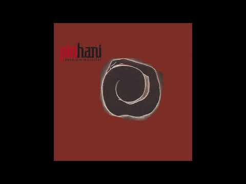 Pinhani - Dön Bak Dünyaya [Solo Part]