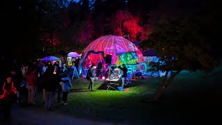 Silver River live PA at toorcamp 2024