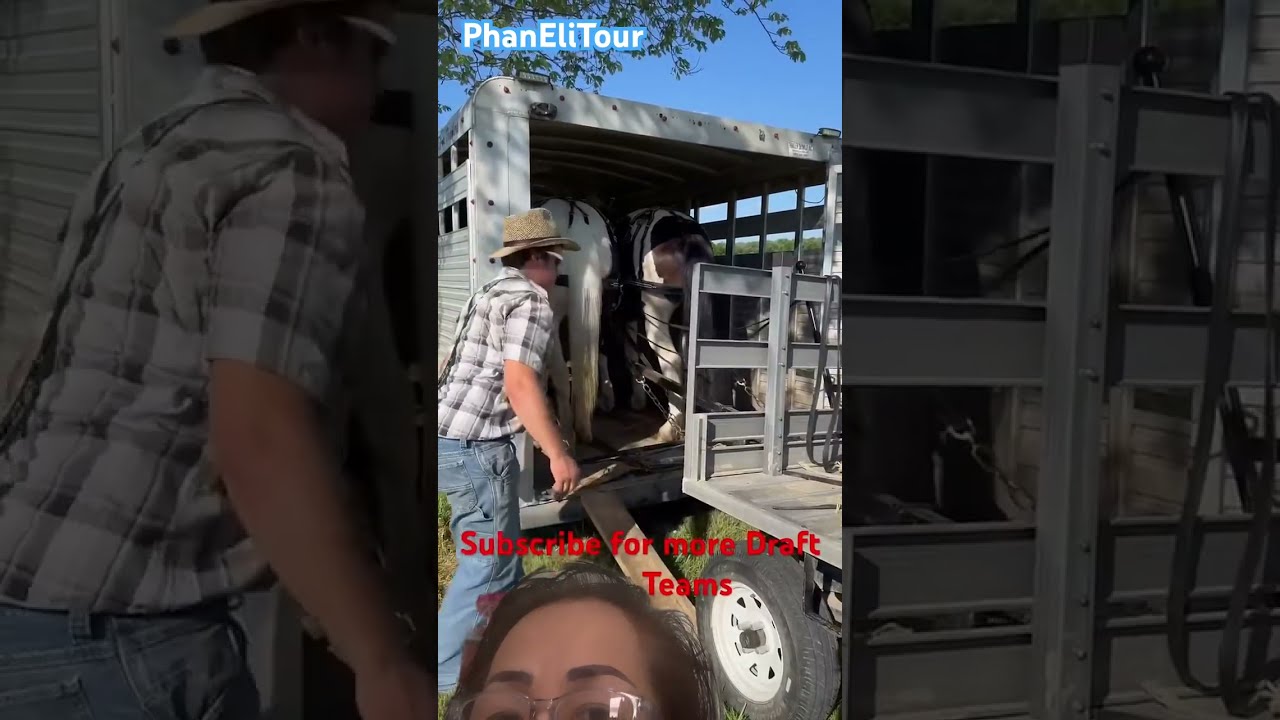 Easy Way To Load Your Wagon Team Short