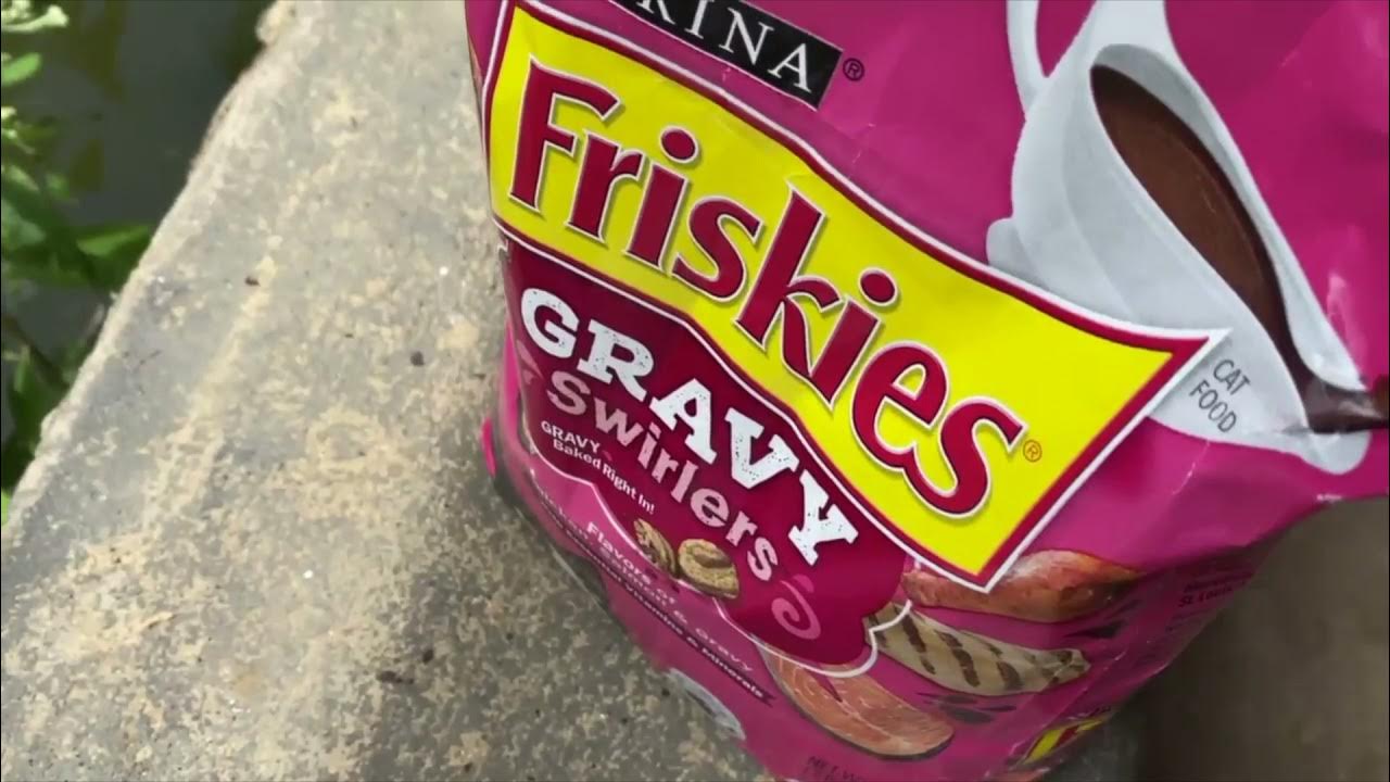 Do Fish Eat Cat Food YouTube do-fish-eat-cat-food-youtube