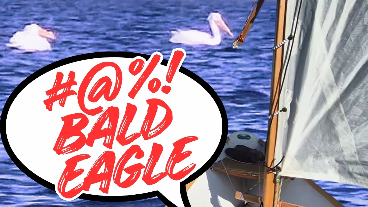 Dory Sailor's Explicit Reaction to Bald Eagle in the Desert