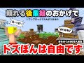 ✂️真面目な後輩組に支えられ、自由を謳歌するドズぼん【おらふくん90万人記念】【ワンブロック5大ボス討伐】【切り抜き/ドズル社】