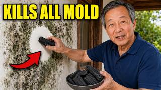 The $5 JAPANESE Charcoal Trick To Reduce Humidity and KILL ALL Mold Forever