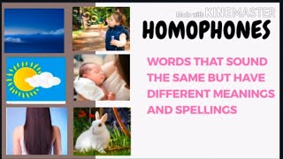 Homophones With Pictures/Usharani Adusumalli/English Tlm/ Vocabulary/Flash Cards