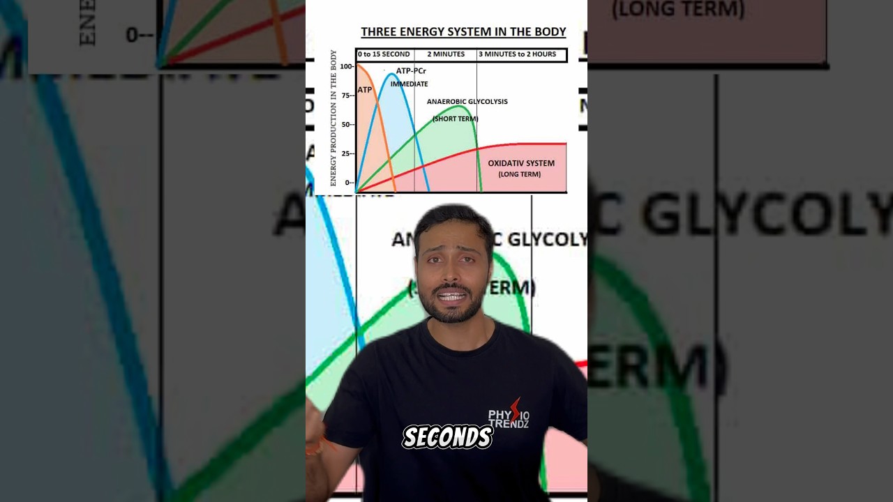 Energy Systems in Exercise, Day-2 #physiotrendz #shorts