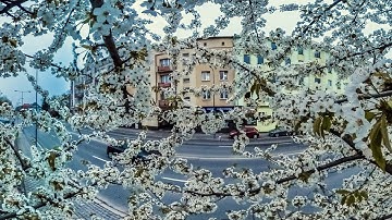 Macro 8K 360 Timelapse in motion (Hyperlapse). Vertical and Diagonal camera moovement