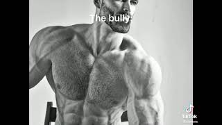 Shitpostatus 77