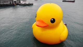 Yellow Duck in Hong Kong