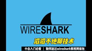 十分钟学会wireshark解析网络包