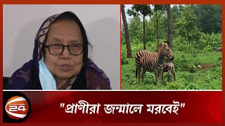 'প্রাণীরা জন্মালে মরবেই': উপমন্ত্রী হাবিবুন নাহার (বন, পরিবেশ ও জলবায়ু মন্ত্রণালয়ের) | Channel 24