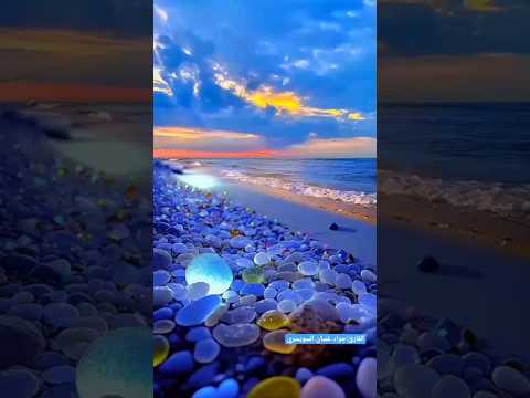 القارى جواد غسان السويسري