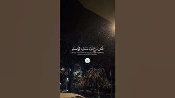 سورة الزمر _ " الآية  22 "  🕋