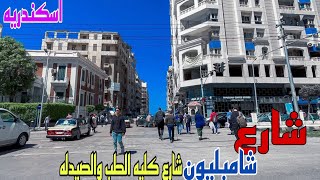 شارع شامبليون شارع كليه الطب والصيدله أسكندريه الازاريطه