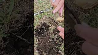 What did I Dig up..... #metaldetecting #Minelab
