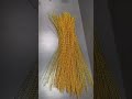 Overcoming 99 Challenges - The Amazing Process of Crafting a 2-Meter Peacock!