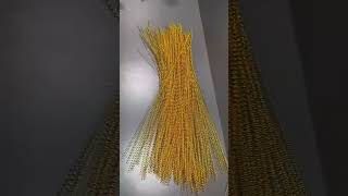 Overcoming 99 Challenges - The Amazing Process of Crafting a 2-Meter Peacock!