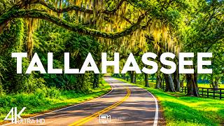 Top 10 Best Things to do in Tallahassee, Florida [Tallahassee Travel Guide 2026]